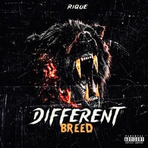 Different Breed