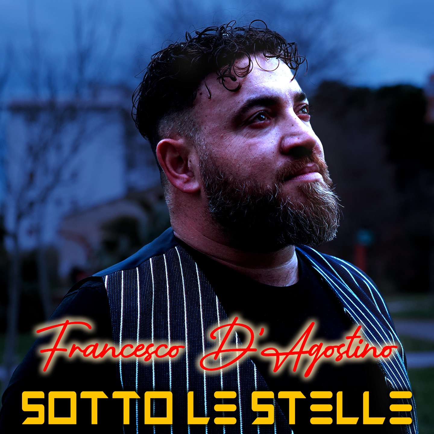 Francesco D'agostino - SOTTO LE STELLE