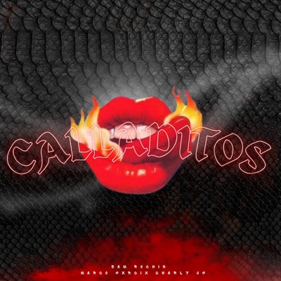 Calladitos (feat. Charly JG & Marco García) - Single