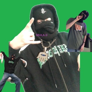Mula 2