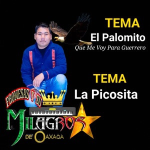 El Palomito Que Me voy pa Guerrero y La Picosita Promesas (En vivo) - Single