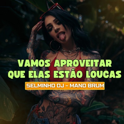 Vamos Aproveitar Que Elas Estão Loucas - Single
