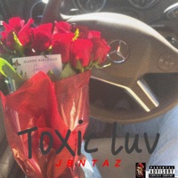 Toxic Luv - Single - Young Taz