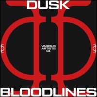 DUSK V/A 01 (BLOODLINES) - Dusk Records