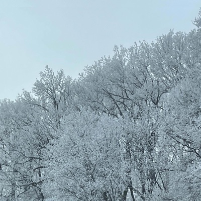 CAFÉ DÉCAFÉINÉ - EP