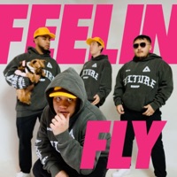 FEELIN' FLY (feat. J.A.M.E.S) - Single - Dane Amar