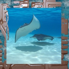 James Ferraro - subsurface Touch art