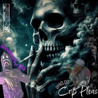 Cop Pleas (feat. RecklezzAnt24) - Single - yHg DF