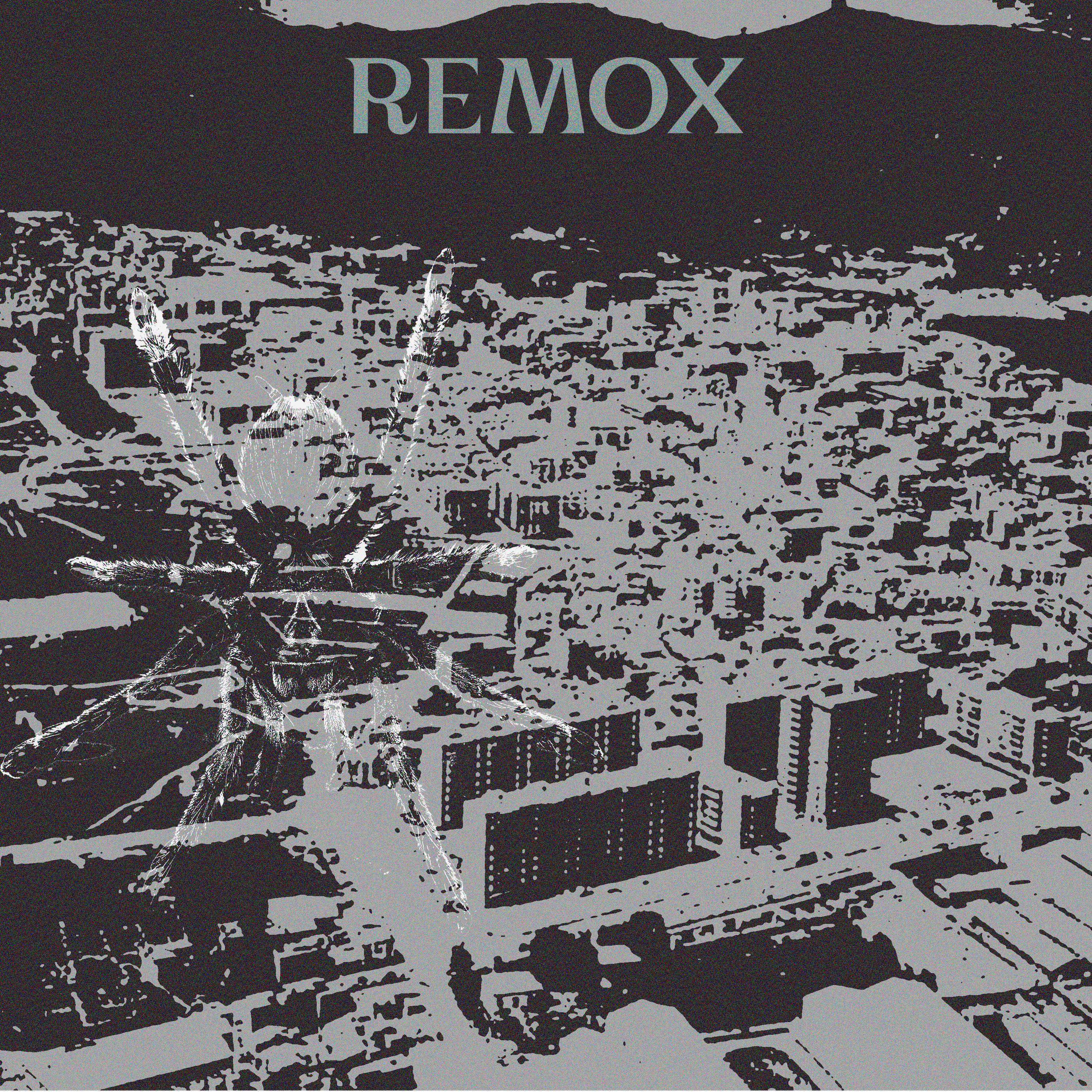 LOS NUEVOS (feat. REMOX) - Single