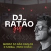 Morro Do São Carlos E Radial (Puro Chão) - Single