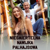 Nieśmiertelna Nawijka Palhajsowa - Single - WuWunio
