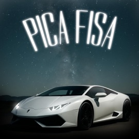 PICA FISA OmEn