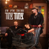 צמוד צמוד artwork