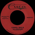 Bob Mattice & The Phaetons - Camel Walk