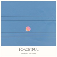 Forgetful - Single - Jon Eberson, Marte Eberson & Eberson
