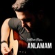 Volkan Biçer - Anlamam