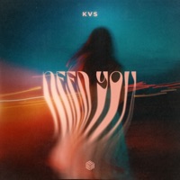 Need You - Single - KVS