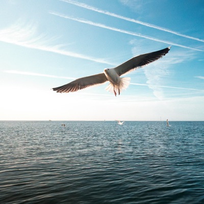Glide - Single