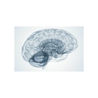 my brain (interude) - Single - Marcus Henry