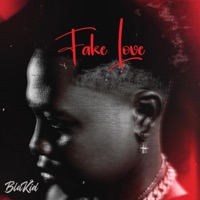 Fake Love - Single - Blakid