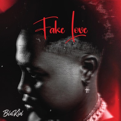 Fake Love - Single