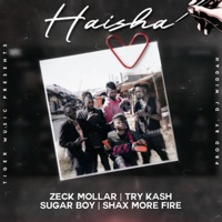 Haisha (feat. Shax more fire, Try Cash & Sugar Boy) - Single - zeck mollar