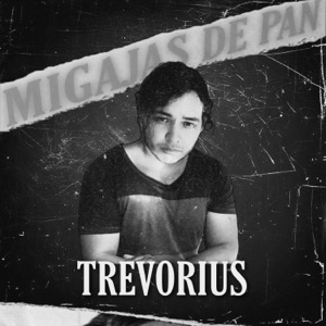 MIGAJAS DE PAN