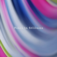 Trials & Tribulations - Single - Peace In Stillness