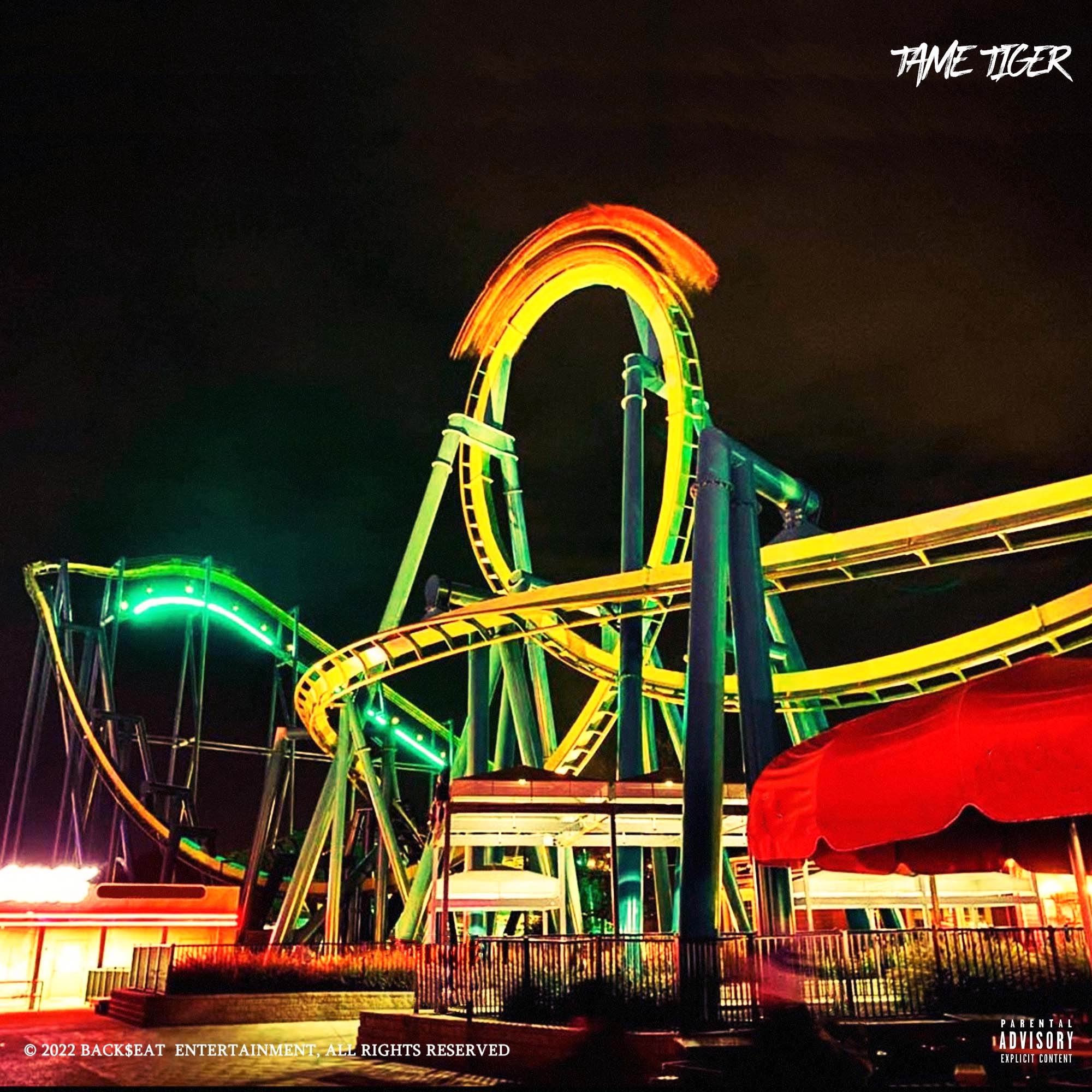 LIFE IS A GAMBLE - Single