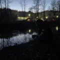 Reflections