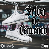 Selva de Cemento - Delincuentes MX