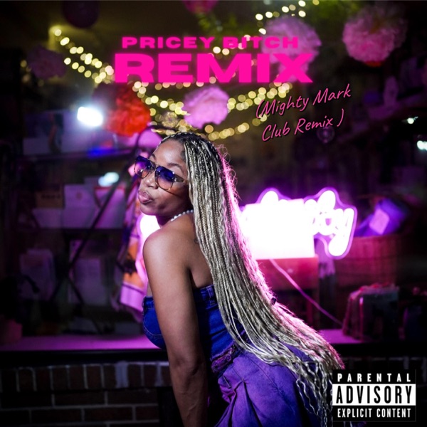 Pricey Bitch (Mighty Mark Remix) - EP