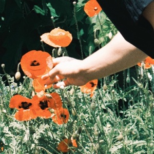 HARVEST.