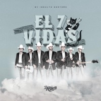 El 7 Vidas