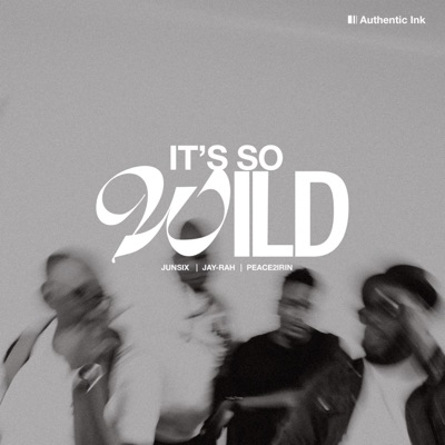 IT'S SO WILD (feat. peace2irin, jay-rah & junSix) - Single