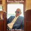 Train Home