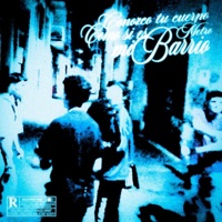 Conozco Tu Cuerpo Como Si Es Mi Barrio (feat. Salty3r & Danisan47) - Single - METRODKILO