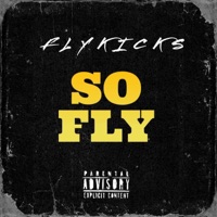 SO FLY - Single - FLYKICKS
