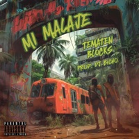 MI MALAJE (Prod. DJ BICHO) - Single - Tematen Blokes