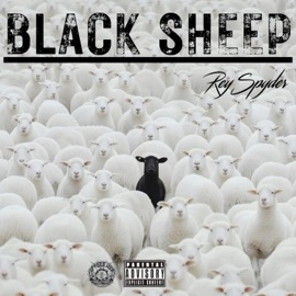 Black Sheep Rey Spyder