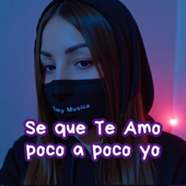 Se que te amo poco a poco yo (Walker Style)