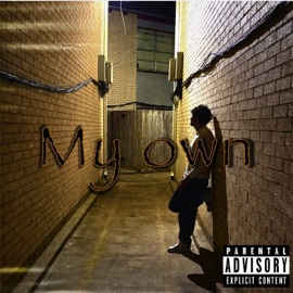 My Own (feat. Retr0sdf) TooRealElii