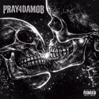 PRAY4DAMOB - Sane