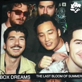 The Last Bloom Of Summer Box Dreams