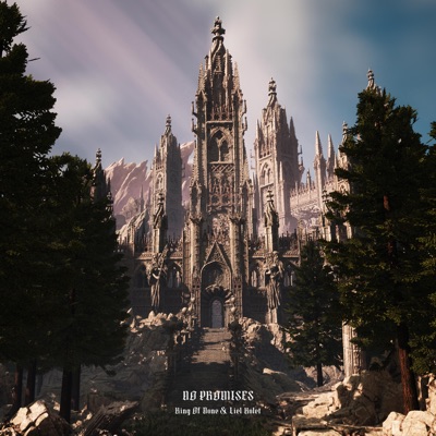 No Promises - Single
