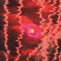 Brand new - Single - Kevion