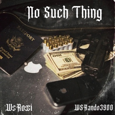 No Such Thing (feat. WSRando3900) - Single