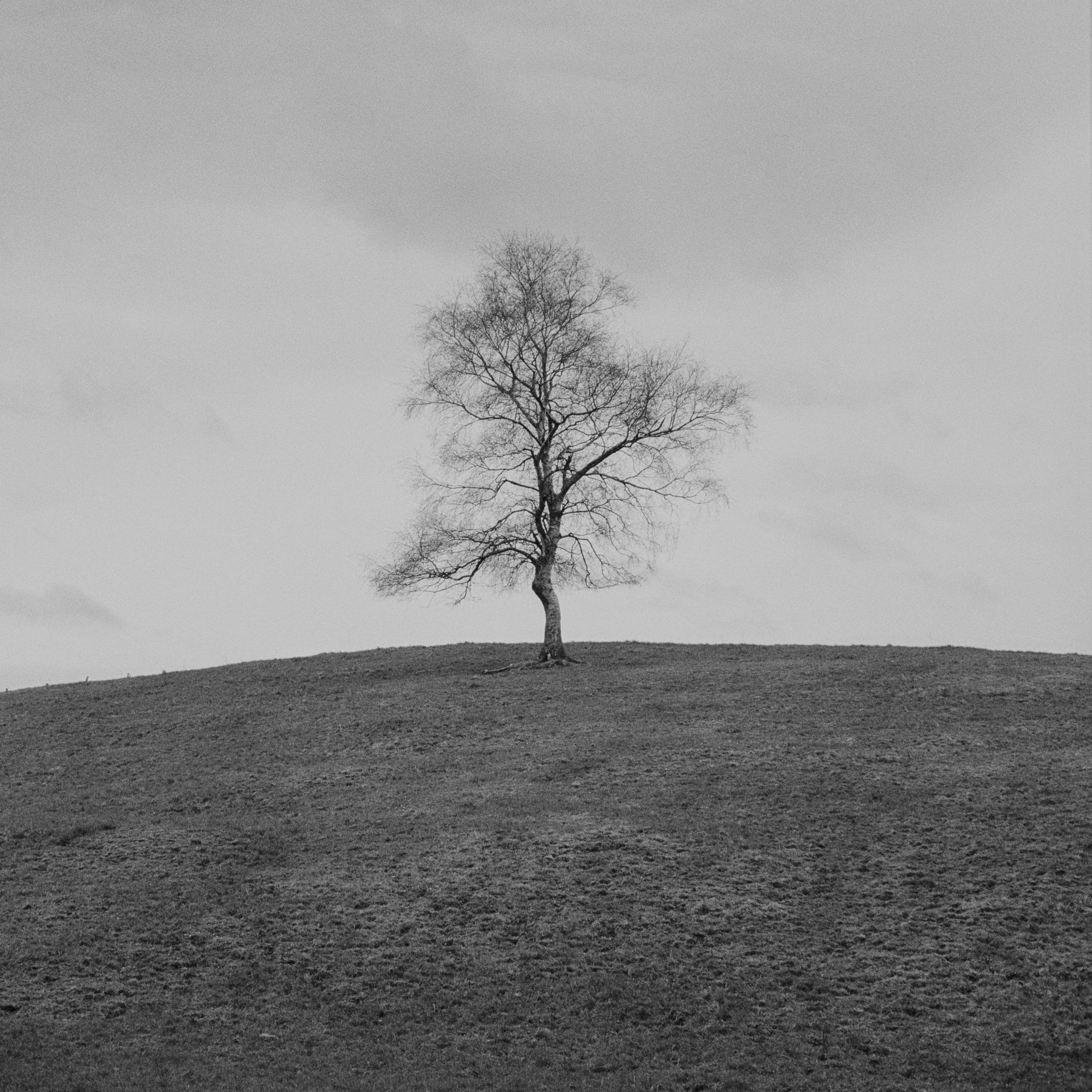 elurretan - Single