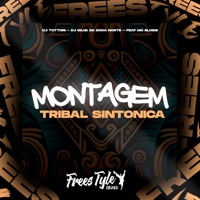 Montagem Tribal Sintonica (feat. MC ELOIDE) - Single - DJ TOTTORI, DJ SILVA DA ZONA NORTE & FreesTyle Sounds