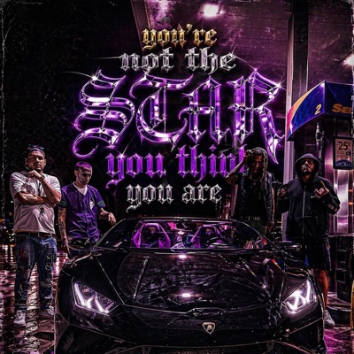 YOU'RE NOT THE STAR YOU THINK YOU ARE (feat. CheckTheStar) - EP